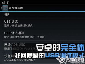 USB調(diào)試不見(jiàn)了怎么辦？電腦圖文設(shè)計(jì)找回隱藏的USB調(diào)試模式指南